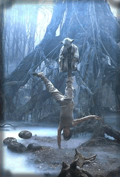 Luke Yoda Training